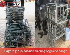 Baga là gì? Tại sao nên sử dụng baga chở hàng?